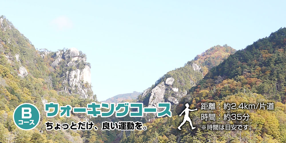 ウォーキングコース
