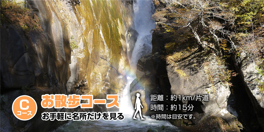 お散歩コース