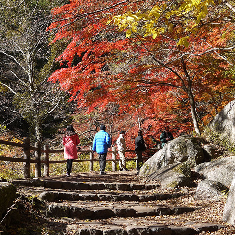 昇仙峡の紅葉