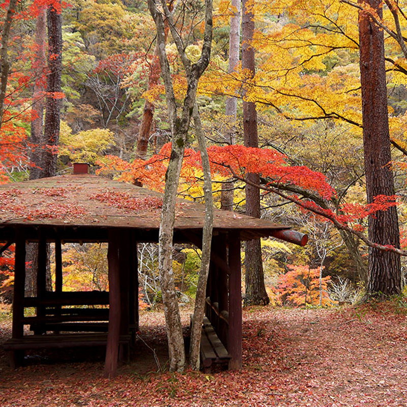 昇仙峡の紅葉