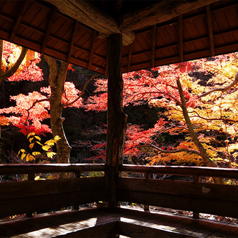 昇仙峡の紅葉