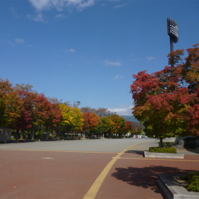 小瀬スポーツ公園の紅葉