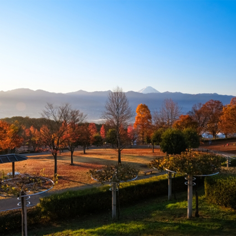 笛吹川フルーツ公園の紅葉