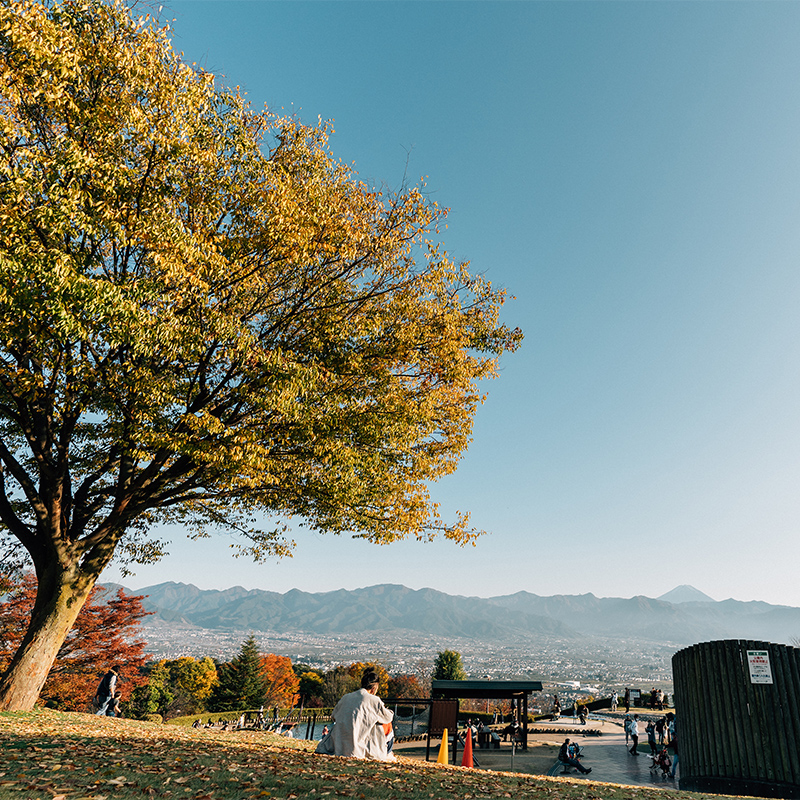 笛吹川フルーツ公園の紅葉