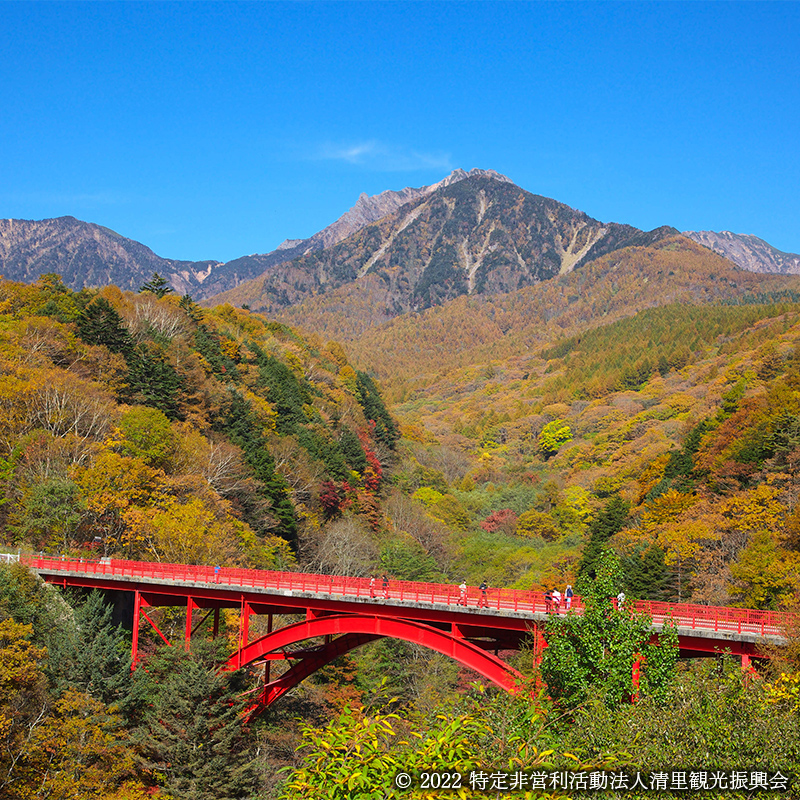 清里高原の紅葉