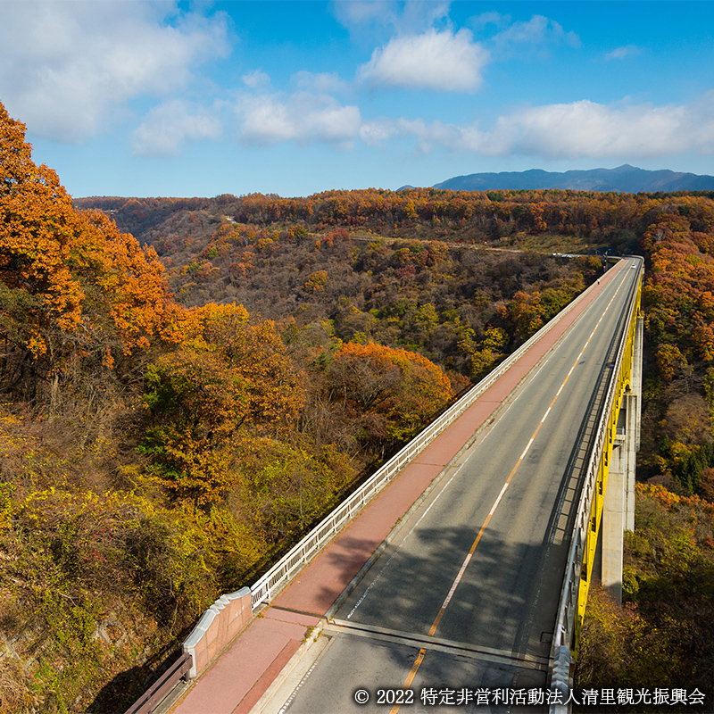 清里高原の紅葉