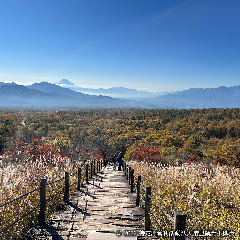 清里高原の紅葉