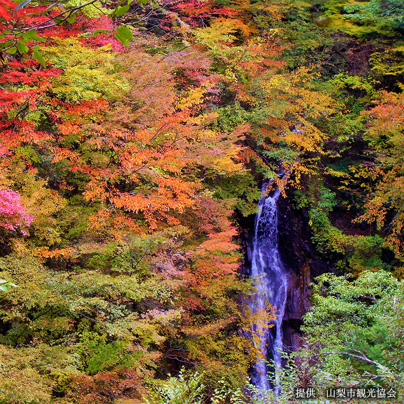 西沢渓谷の紅葉