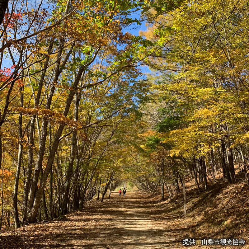 西沢渓谷の紅葉