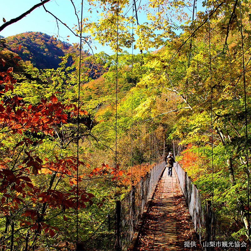 西沢渓谷の紅葉