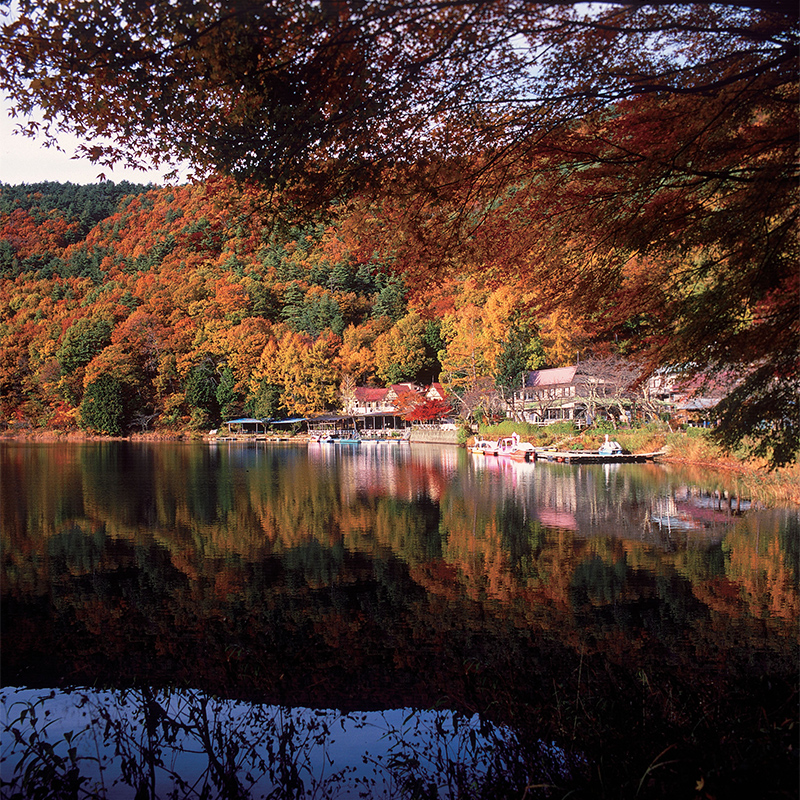 四尾連湖の紅葉