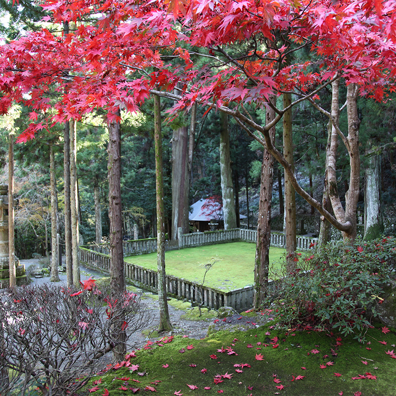 日蓮宗総本山 身延山久遠寺の紅葉