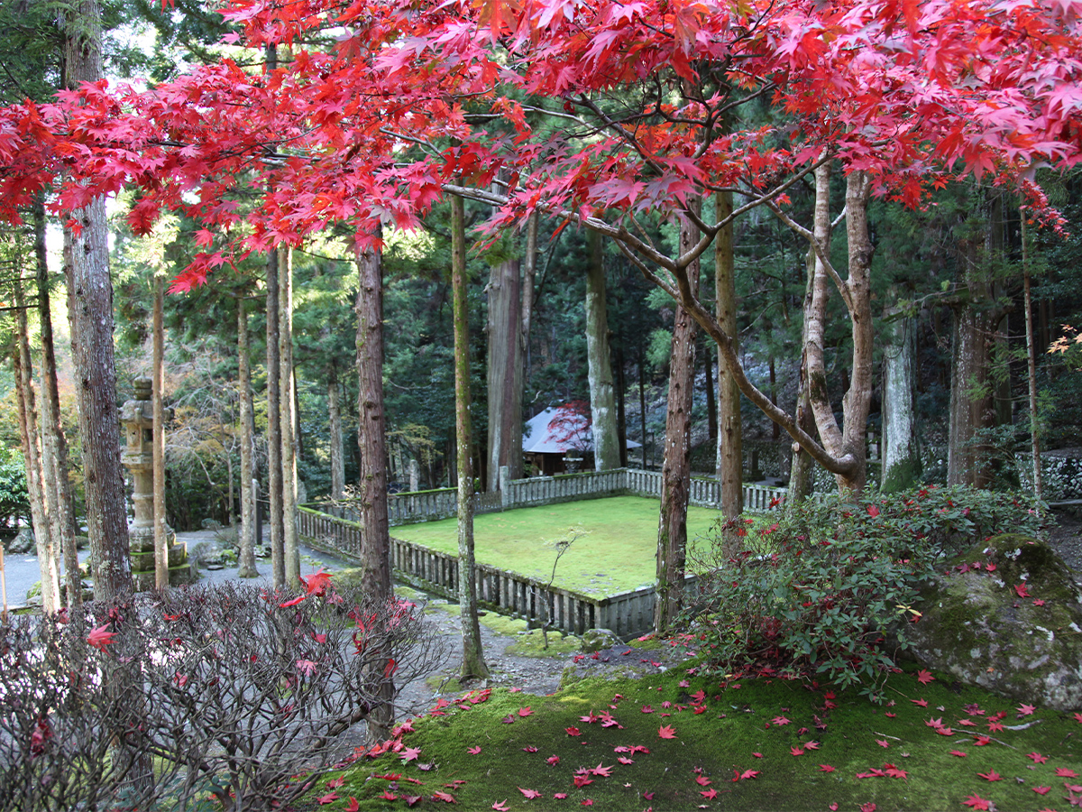 日蓮宗総本山 身延山久遠寺