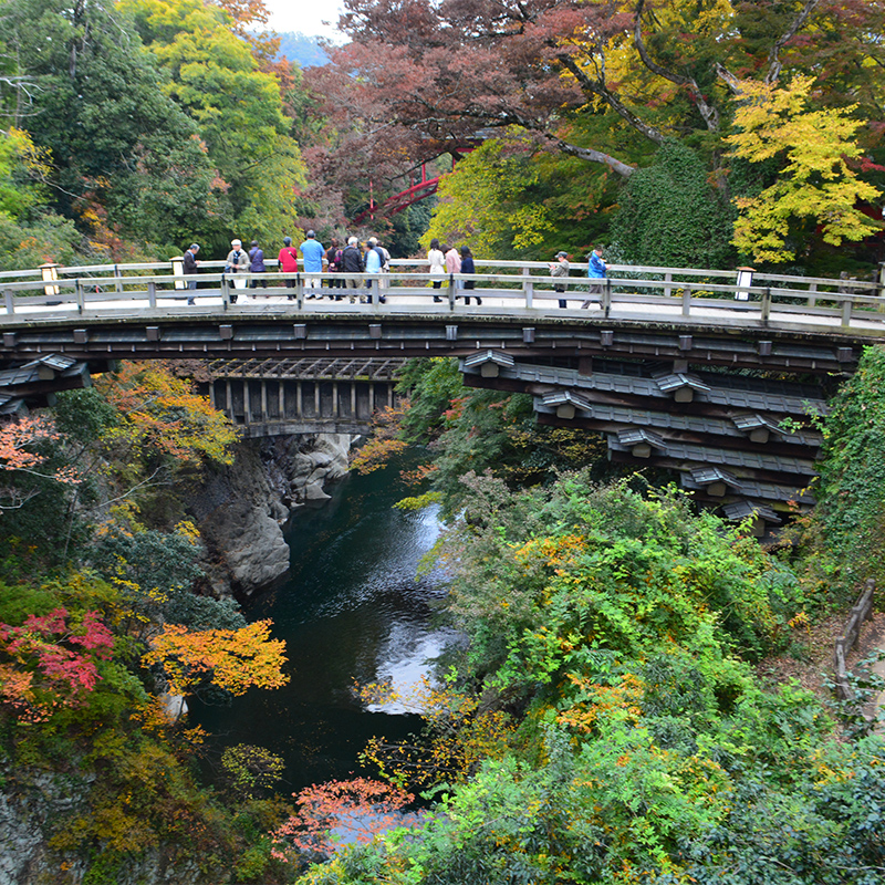 猿橋の紅葉