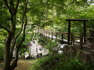 羅漢寺橋