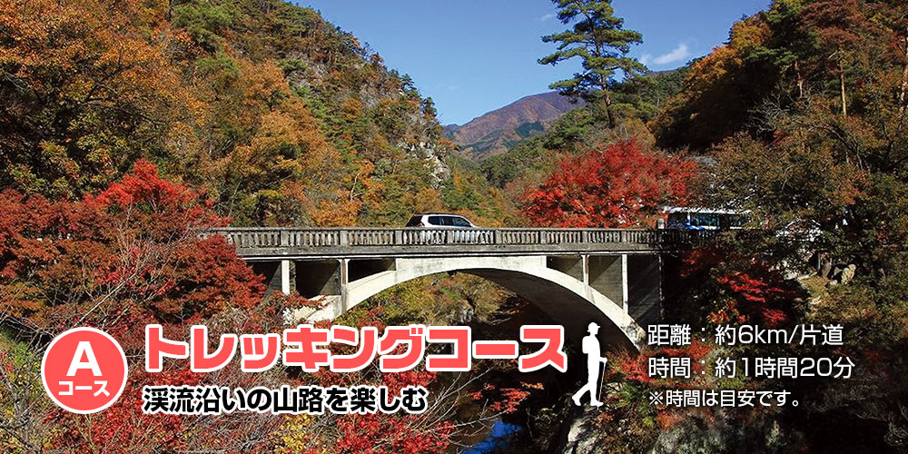 トレッキングコース