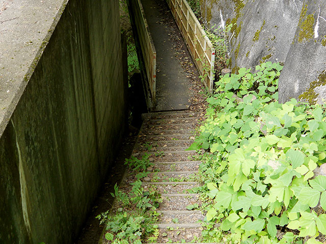 板敷渓谷入り口の階段