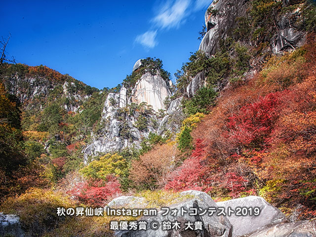 夢の松島