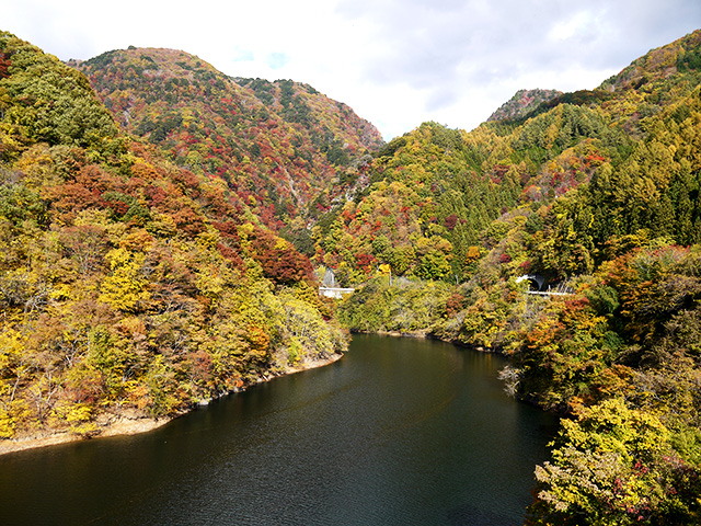 荒川ダム