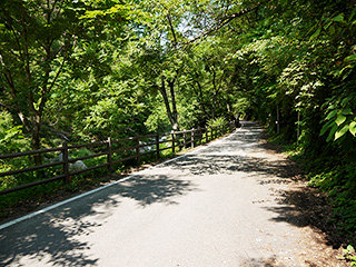 昇仙峡遊歩道 写真5