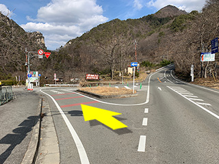 遊歩道に戻る際の道