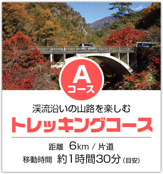 渓流沿いの山路を楽しむ トレッキングコース