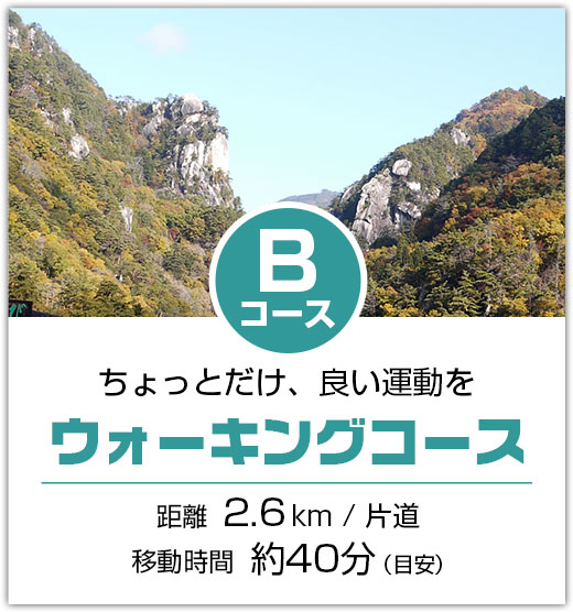 ちょっとだけ、良い運動を ウォーキングコース