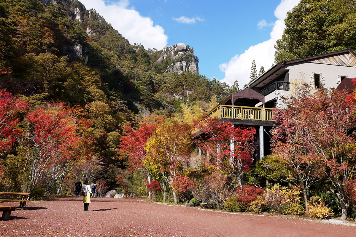 天空乃杜庭園