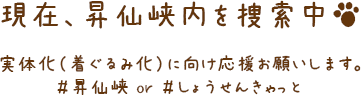 現在、昇仙峡内を捜索中！