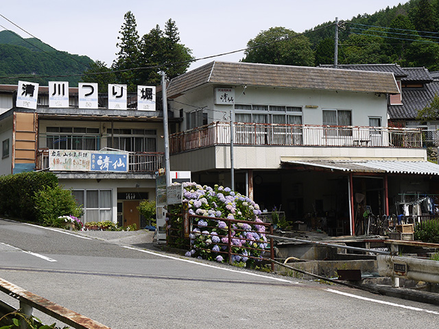 清仙養魚場・清川釣堀 写真1