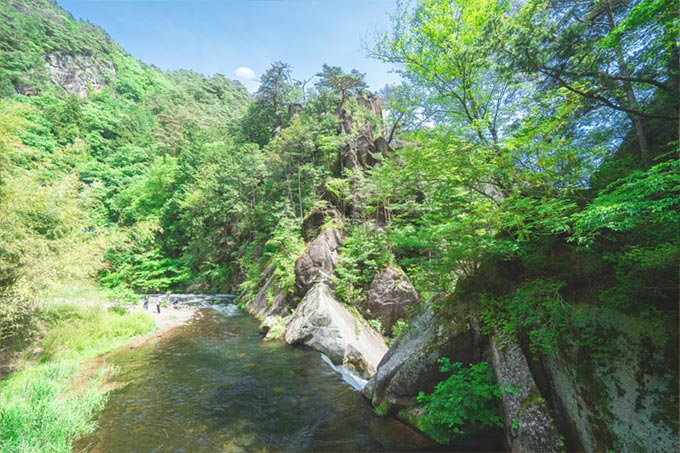 山梨ワイン王国 仙娥滝店 写真4